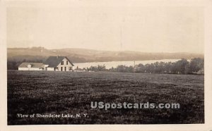 Birds Eye View - Shandelee, New York NY Postcard