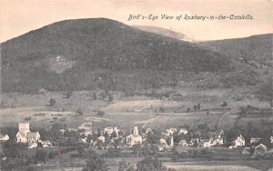 Bird's Eye View Roxbury, New York  