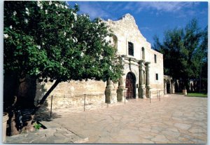 M-80505 The Alamo Flanked by verdant gardens San Antonio Texas