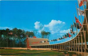 Jamestown Virginia~Festival Park~Covered Walkway~State Flags~1950s Postcard