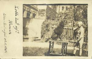 Young Boy teaches Poodle Dog Tricks (1915) RPPC Postcard