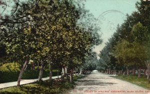 Vintage Postcard 1908 Street Of Officers Residences Mare Island California EHM