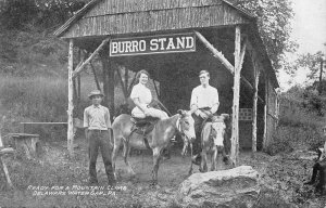 Delaware Water Gap Pennsylvania Burro Stand B/W Photo Print Vintage PC U5639