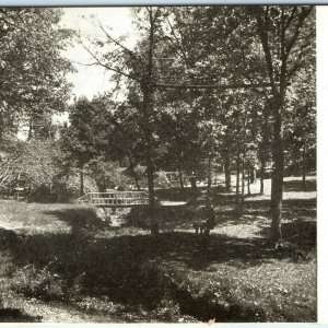 1907 Cedar Rapids, IA Bever Park Scene Litho Photo Postcard Nature Uncolored A34