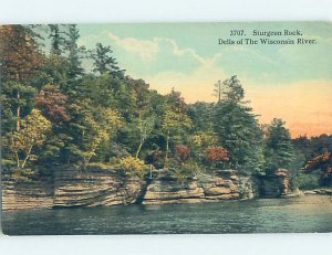 Divided-back NATURE SCENE Wisconsin Dells - Near Baraboo & Portage WI AD5082