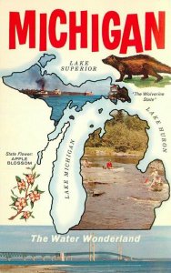 Michigan Lansing 1950s Map Attractions Water Wonderland S10100 Postcard 22-3036