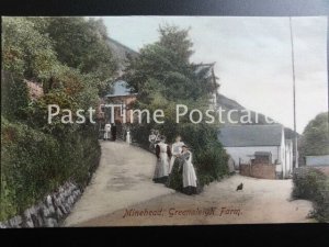 c1905 - Minehead, GREENALEIGH FARM