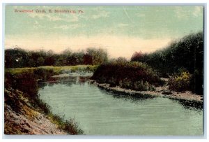 c1910's Broadhead Creek East Stroudsburg Pennsylvania PA Antique Postcard 