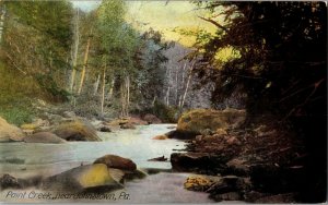 Scene on Paint Creek Near Johnstown PA Vintage Postcard G23