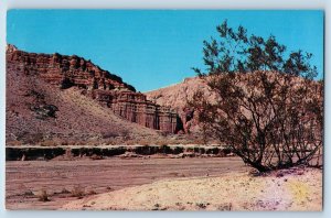 Clark County Nevada NV Postcard Red Rock Canyon Scenic View c1960s Vintage Trees