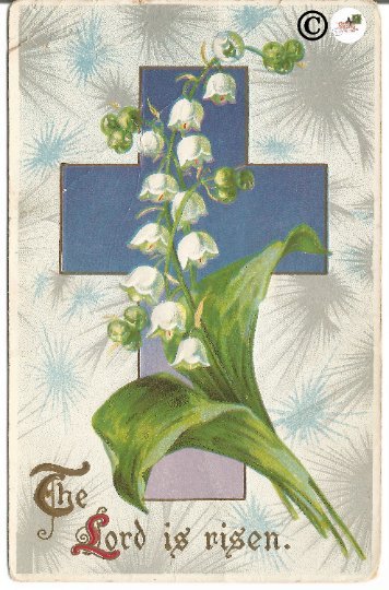 Ultra Violet Cross with Burst of Gray /White Lily of the Valley Vintage Postcard