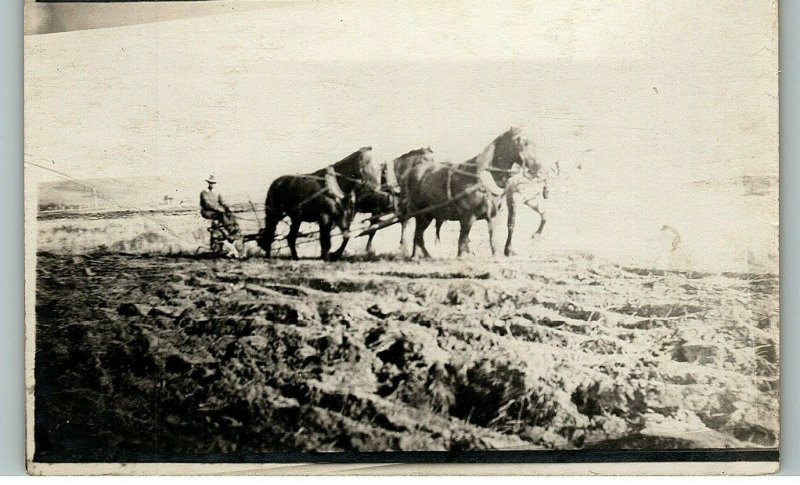 1930s Horse Drawn Plow Man Plowing Field 4 Horses Real Photo Postcard 6-17 