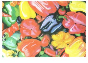 Anosa Edmonton Alberta World `96 ist Stop Oklahoma, Art Student`s Show,  Peppers