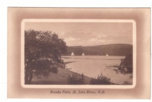 Brandy Point, St John River, New Brunswick, Antique Sepia Postcard