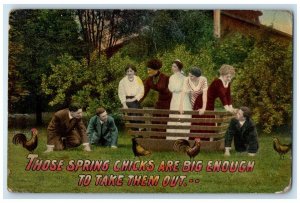 1912 Mens Caching Rooster Spring Chicks Are Big Enough To Take Them Out Postcard