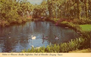 Palms & Flowers Border Lake Wales, Florida