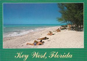 Florida Key West Beach Scene