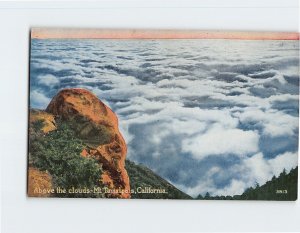 Postcard Above the Clouds Mt. Tamalpais California USA