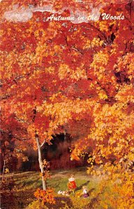 Unidentified View Postcard