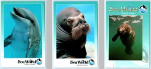 3 Postcards ORLANDO, Florida FL ~ SEA WORLD Dolphin, Manatee, Walrus ~ 4x6 