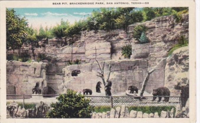 Texas San Antonio Bear Pit Brackenridge Park