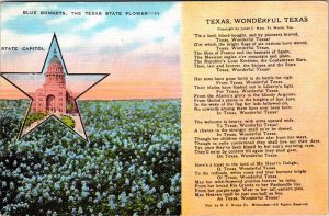 Postcard NATURE SCENE State Of Texas TX AO6817