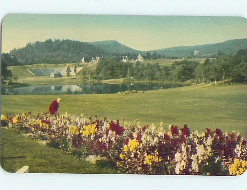 Pre-1980 TOWN VIEW SCENE Fundy National Park - Alma New Brunswick NB p9945