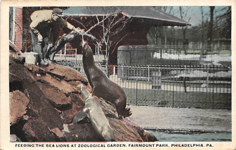 Sea Lions, Zoological Garden, Fairmount Park  Philadelphia, Pennsylvania PA