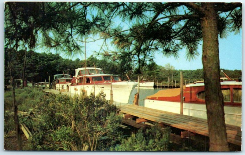 Postcard - Henlopen Yacht Basin, Rehoboth Beach, Delaware 