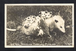 RPPC WE ARE TRAVELING THRU FLORIDA OPOSSUM POSSUMS REAL PHOTO POSTCARD