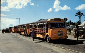 Bridgetown Barbados Island Buses c1950-60s Vintage Postcard