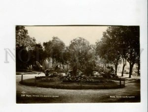 3173251 BULGARIA VARNA sea garden Vintage photo postcard