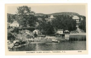 Canada - QC, Tadoussac. Government Salmon Hatchery  RPPC