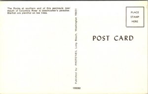 Washington - Star Fish From Long Beach Peninsula - [WA-145]