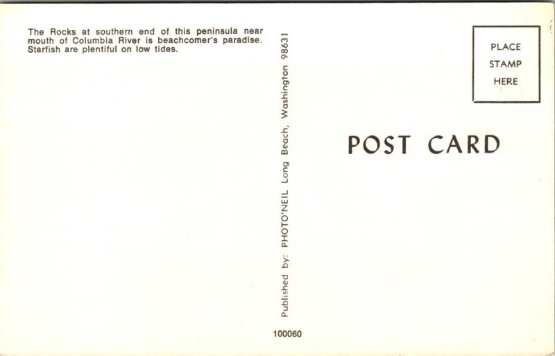 Washington - Star Fish From Long Beach Peninsula - [WA-145]