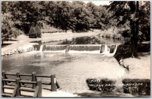 Milham Park Kalamazoo Michigan MI Trees Creek Falls Real Photo RPPC Postcard