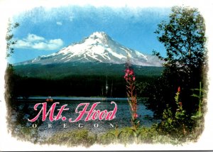 Oregon Mount Hood 2004