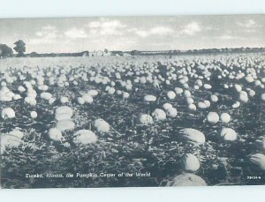 1950s HALLOWEEN PUMPKIN CAPITAL OF THE WORLD Eureka - Near Bloomington IL AG2333