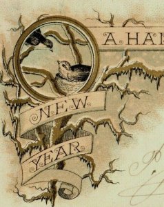 1870's Engraved New Year's Card Winter Birds Nest Tree Night P161