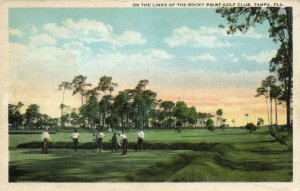 PC GOLF, FL, TAMPA, ROCKY POINT GOLF CLUB, Vintage Postcard (b45888)