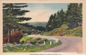 Pennsylvania Greetings From Susquehanna 1947