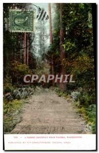 Old Postcard A Forest Driveway Near Tacoma Washington