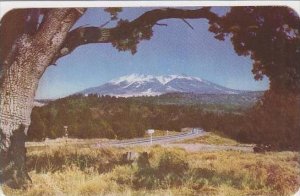 Arizona Flagstaff Snow Covered San Francisco Peaks