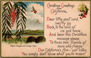 Christmas Greetings From California 1922