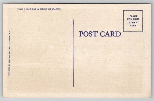 Syracuse NY Green Drumlins Golf Course New York Postcard G41