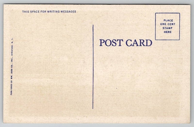 Syracuse NY Green Drumlins Golf Course New York Postcard G41