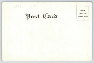 Burnt River Oregon~Covered Wagon On the Bridge~Dog: Eza Meeker's Jim?~c1905