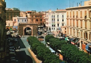 Vintage Postcard Porte De France Bab El Bhar City Stone Gate In Tunis Tunisia TN