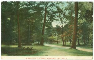 USA, Scene in City Park, Kokomo, Indiana, 1908 used Postcard