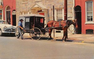 Amish Farmer Lancaster, Pennsylvania PA  